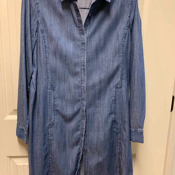eileen fisher denim dress